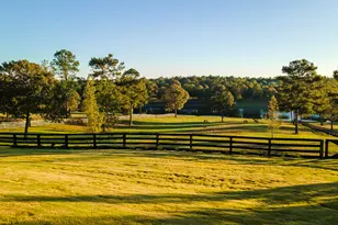 409 Chestnut Brown Ct, Warrenville, SC 29851 - Photo 83