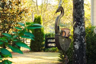 409 Chestnut Brown Ct, Warrenville, SC 29851 - Photo 67