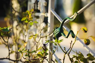 409 Chestnut Brown Ct, Warrenville, SC 29851 - Photo 71