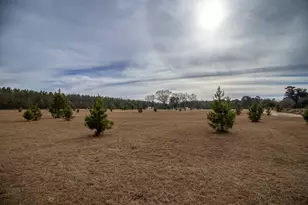 142 Hopewell Rd, North, SC 29112 - Photo 21