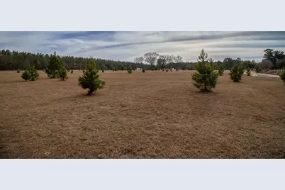 142 Hopewell Road, North, SC 29112 - Photo 21