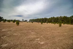 142 Hopewell Rd, North, SC 29112 - Photo 25