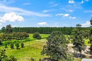 142 Hopewell Rd, North, SC 29112 - Photo 113