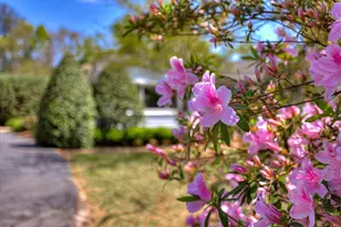 484 Powderhouse Rd SE, Aiken, SC 29801 - Photo 43