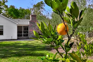 484 Powderhouse Rd SE, Aiken, SC 29801 - Photo 39