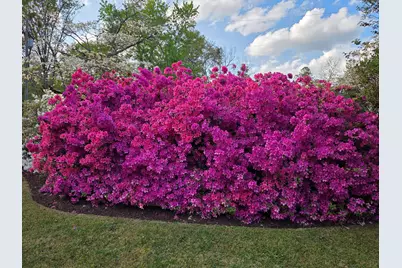 484 Powderhouse Road SE, Aiken, SC 29801 - Photo 47