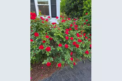 484 Powderhouse Road SE, Aiken, SC 29801 - Photo 45