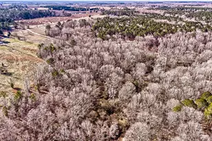 43 Aviary Ln, Johnston, SC 29832 - Photo 57