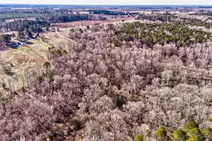 43 Aviary Ln, Johnston, SC 29832 - Photo 55