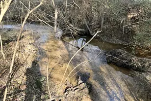 43 Aviary Ln, Johnston, SC 29832 - Photo 53