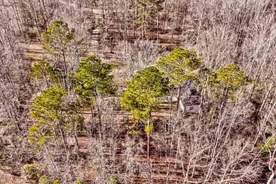 43 Aviary Lane, Johnston, SC 29832 - Photo 61