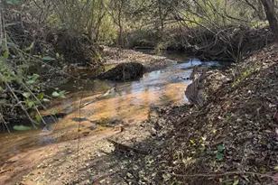 43 Aviary Ln, Johnston, SC 29832 - Photo 51