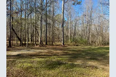 43 Aviary Lane, Johnston, SC 29832 - Photo 49