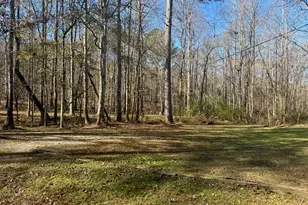 43 Aviary Ln, Johnston, SC 29832 - Photo 49