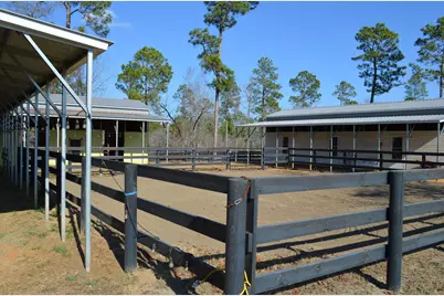 879 Marsh Tacky Run, Aiken, SC 29803 - Photo 23