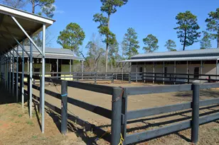 879 Marsh Tacky Run, Aiken, SC 29803 - Photo 23