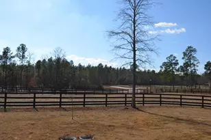 879 Marsh Tacky Run, Aiken, SC 29803 - Photo 21