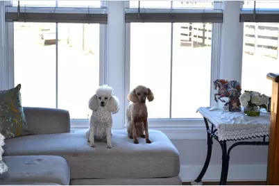 879 Marsh Tacky Run, Aiken, SC 29803 - Photo 17