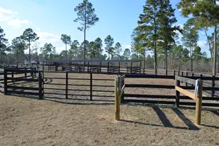 879 Marsh Tacky Run, Aiken, SC 29803 - Photo 29