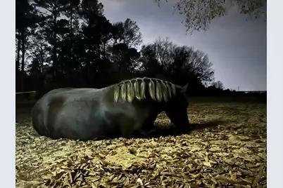 127 & 0 Martin Hollow Road, Aiken, SC 29803 - Photo 67