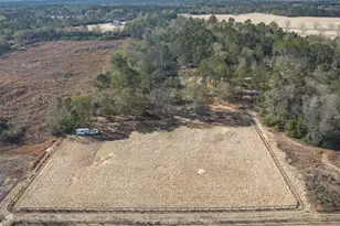 127 Martin Hollow Rd, Aiken, SC 29803 - Photo 61