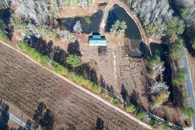 36 Tumbleweed Drive, Blackville, SC 29817 - Photo 9