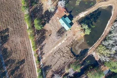 36 Tumbleweed Drive, Blackville, SC 29817 - Photo 11