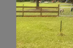 2071 Clubhouse Rd, Summerton, SC 29148 - Photo 37