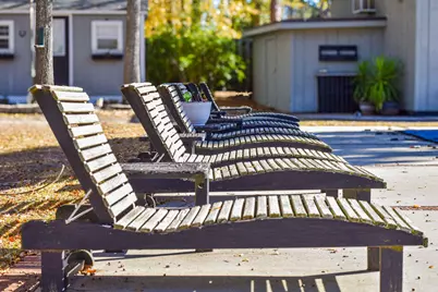 893 Heyward Drive, Orangeburg, SC 29118 - Photo 41