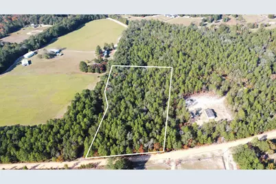 00 Tosha Lane #Lot A, Wagener, SC 29164 - Photo 1