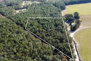 00 Tosha Ln, Wagener, SC 29164 - Photo 1