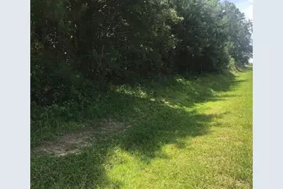 5960 S Carolina 3, Barnwell, SC 29812 - Photo 1