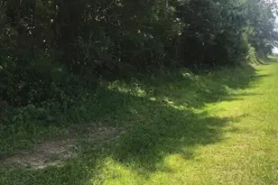 5960 S Carolina 3, Barnwell, SC 29812 - Photo 1