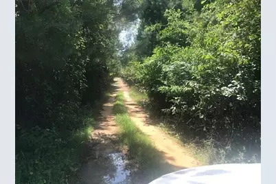 5960 Highway 3, Barnwell, SC 29812 - Photo 1