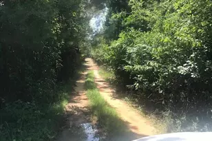 5960 Hwy 3, Barnwell, SC 29812 - Photo 1