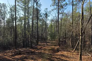 20A Berry Ln, Beech Island, SC 29842 - Photo 1