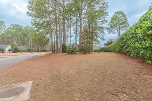 19 St Andrews Way, Aiken, SC 29803 - Photo 35