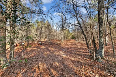 805 Long Branch Circle, Williston, SC 29853 - Photo 37