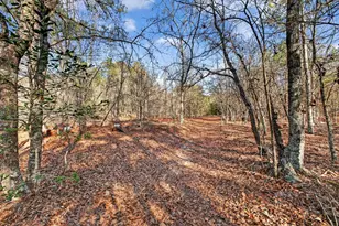 805 Long Branch Cir, Williston, SC 29853 - Photo 37