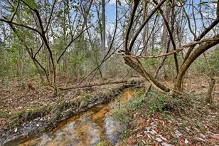 805 Long Branch Cir, Williston, SC 29853 - Photo 31