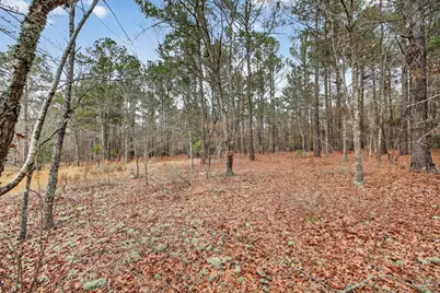 805 Long Branch Circle, Williston, SC 29853 - Photo 41