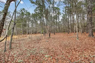 805 Long Branch Cir, Williston, SC 29853 - Photo 41