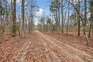 805 Long Branch Cir, Williston, SC 29853 - Photo 39