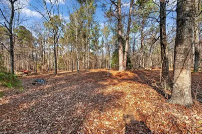 805 Long Branch Circle, Williston, SC 29853 - Photo 33