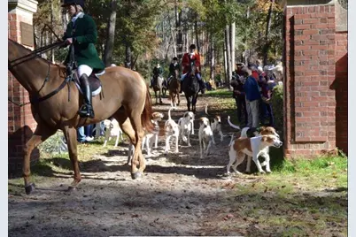 98 Troon Way, Aiken, SC 29803 - Photo 51