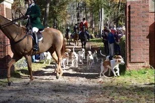 98 Troon Way, Aiken, SC 29803 - Photo 51