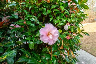 201 Buck Point Ct, Aiken, SC 29803 - Photo 21