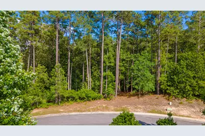 102 White Birch Court, Aiken, SC 29803 - Photo 7