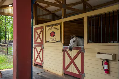 149 Pine Hollow Drive, Aiken, SC 29803 - Photo 33