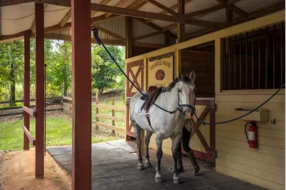 149 Pine Hollow Drive, Aiken, SC 29803 - Photo 43